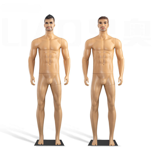 Factory Wholesale Cheap Plastic Skin Color Male Mannequin Lifelike Muscle Men Dummy Fashion Store Display